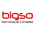 BigSo-logo