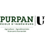 Ei Purpan
